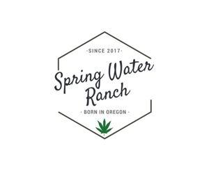 Springwater - Durban Tangie Live Resin