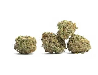 (2) Corner Store: Black Maple (H-I)