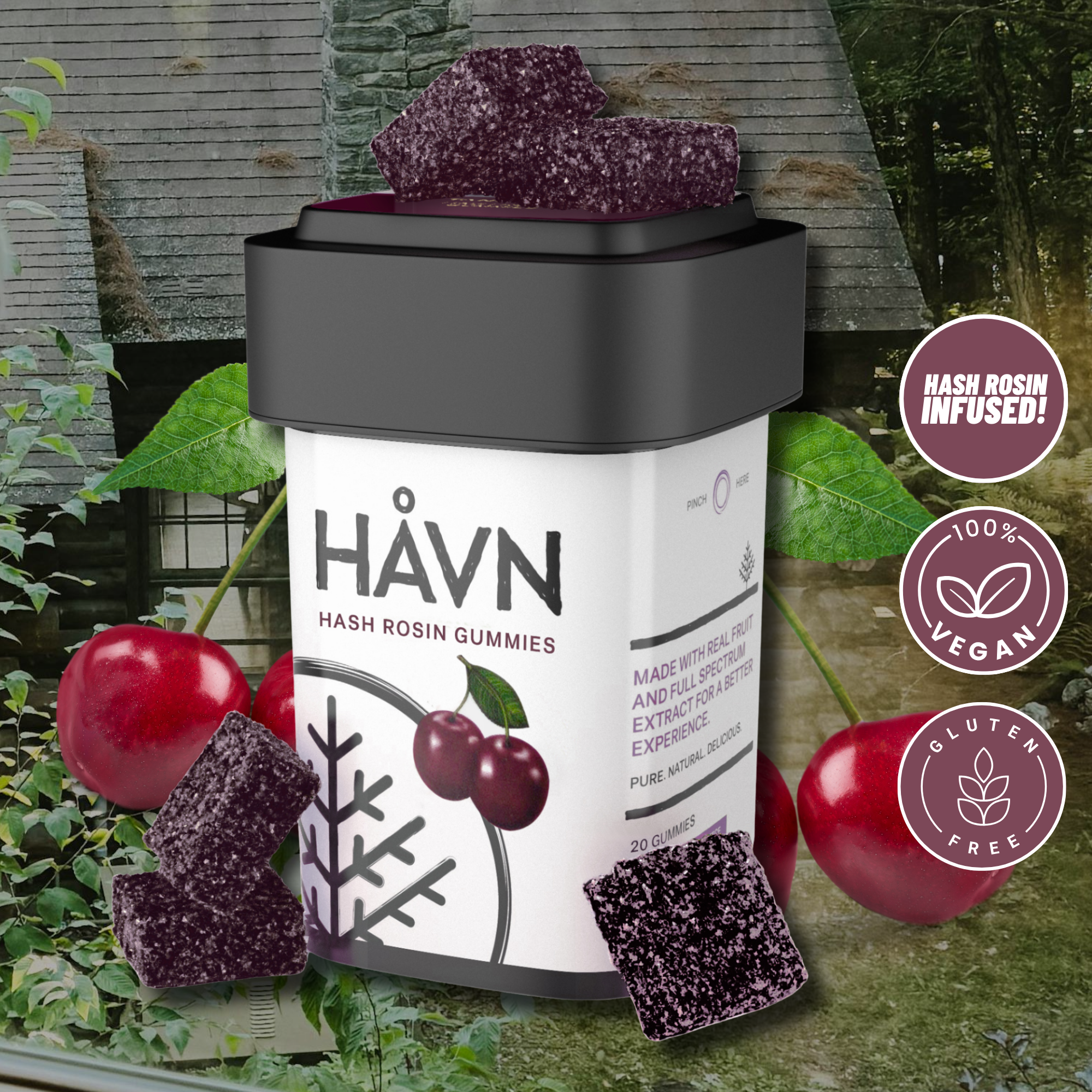 Hash Rosin Gummies 5 Pack - Black Cherry