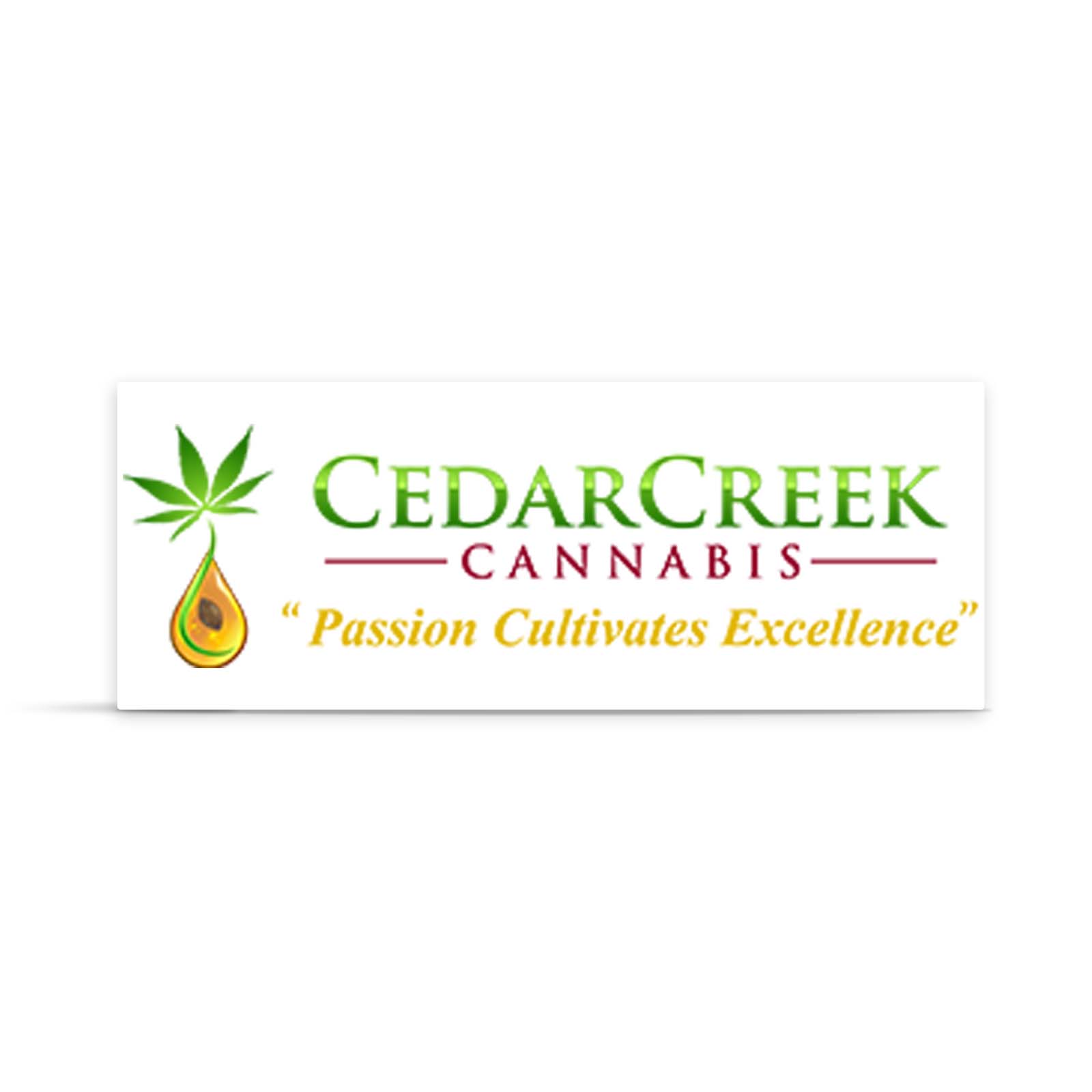 RudeBoi OG - Pre Roll