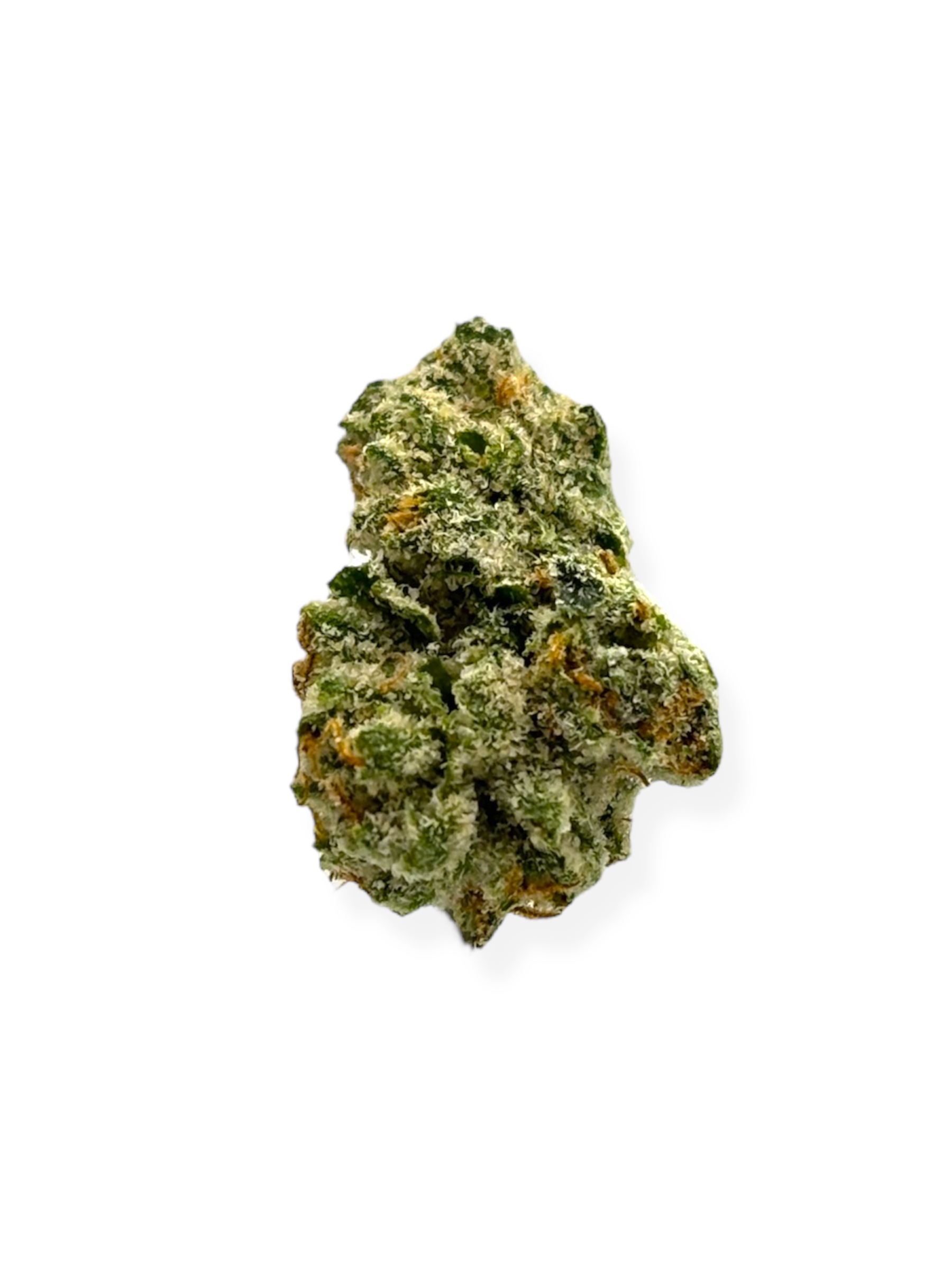Lion Order - King Clementine "Smalls"