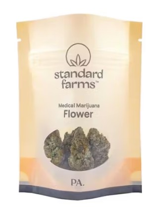 Spearmint Style | 1g