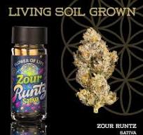 Pre-Rolls (5 pack) - Zour Runtz