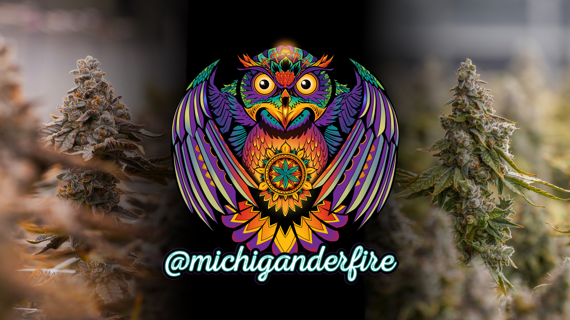 MIchigander Fire Magic Gum Drops Pre Roll