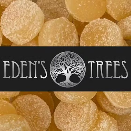 Orange Gummies | H | 100mg | 10pk