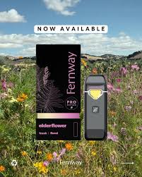 Elderflower Disposable Traveler PRO 2.0g