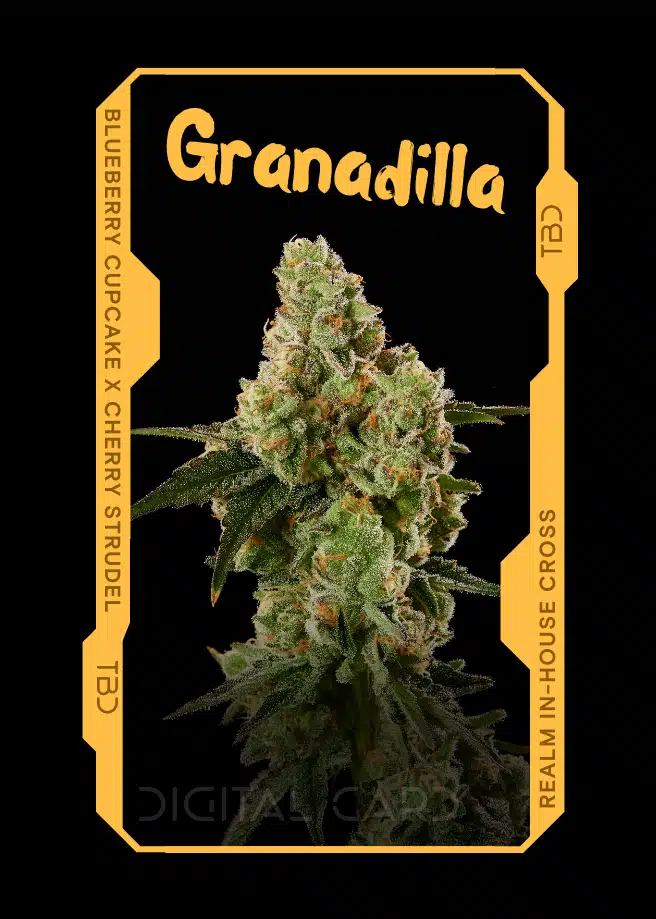 Granadilla | Flower