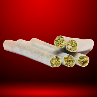 パンチ　白蓮花錦 13 + ラブハート錦 Cannabis Flower | Planet 13 DeLand