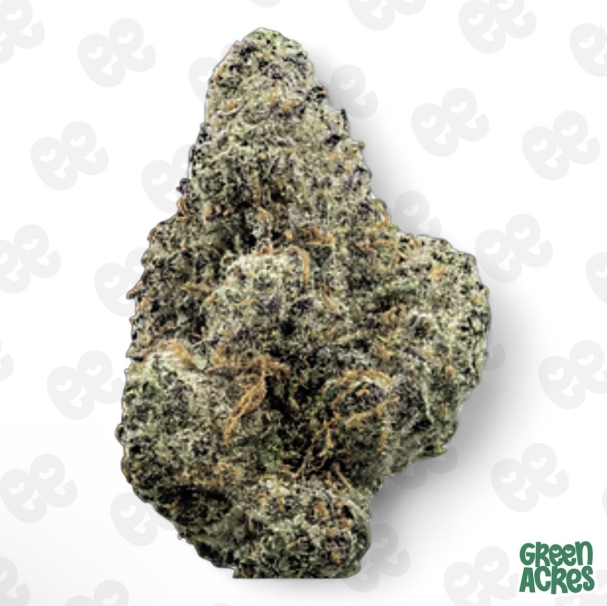 (H) Peninsula Gardens: Super Zmash (H)