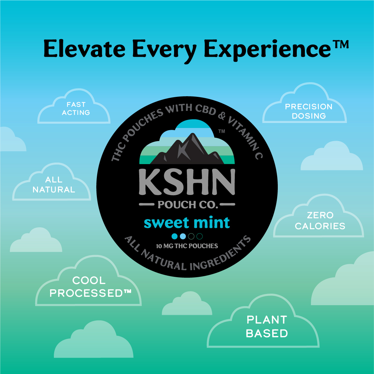 Sweet Mint | KSHN THC Pouch