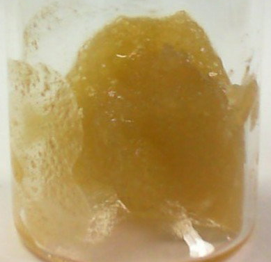 Bloom Montana (1g Badder-Grape Cream Cake)