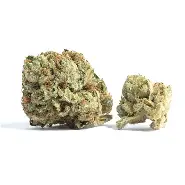 (71909) AMA 14g Black Cherry OG Buds