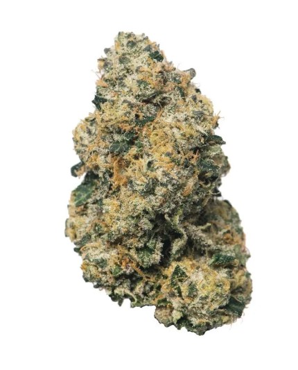 167 Sherbanger 22 Flower