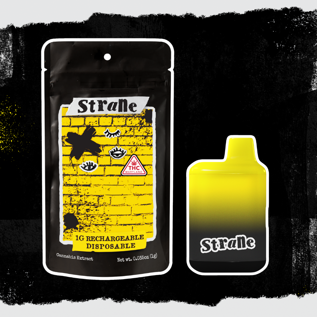 Champagne Supernova RIP STICK Rechargeable Disposable 1g