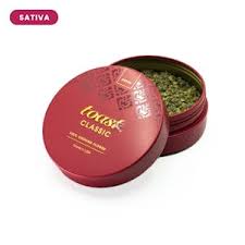 Papaya Express Premium Infused Ground