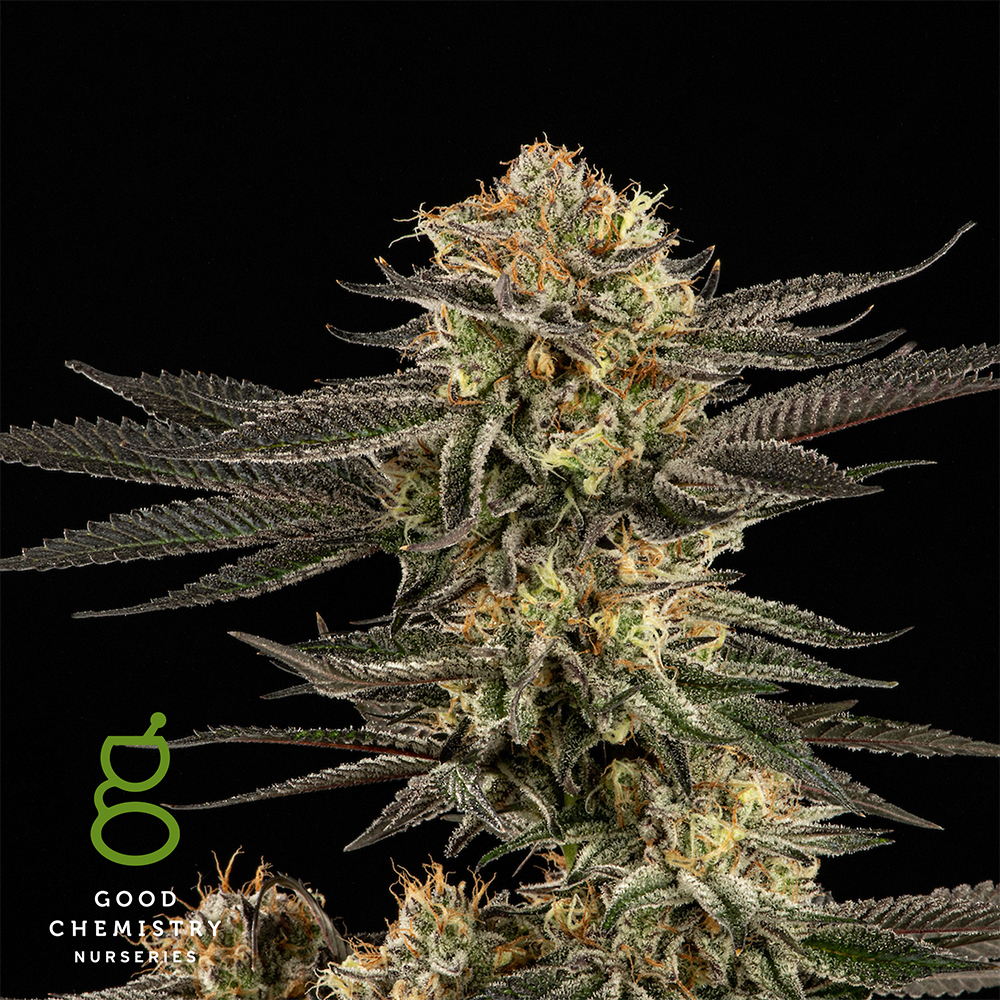 Platinum Huckleberry Cookies