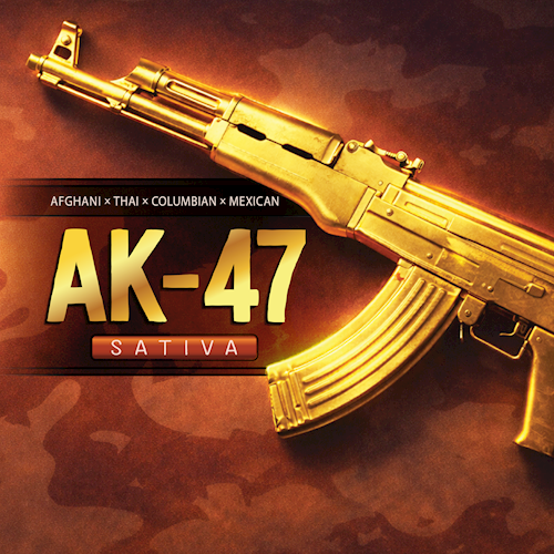 Ak 47