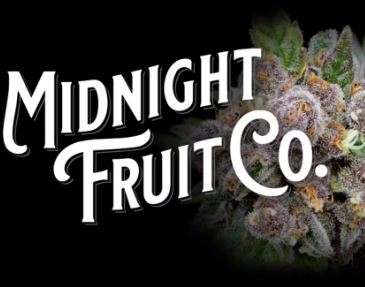 Midnight Fruit Co. | Super Lemon Haze