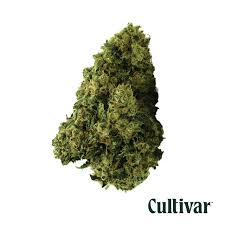 Earthquake - 14g - Cultivar Collection - House Packed