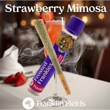 STRAWBERRY MIMOSA | HYBRID | INFUSED PRE-ROLL REC