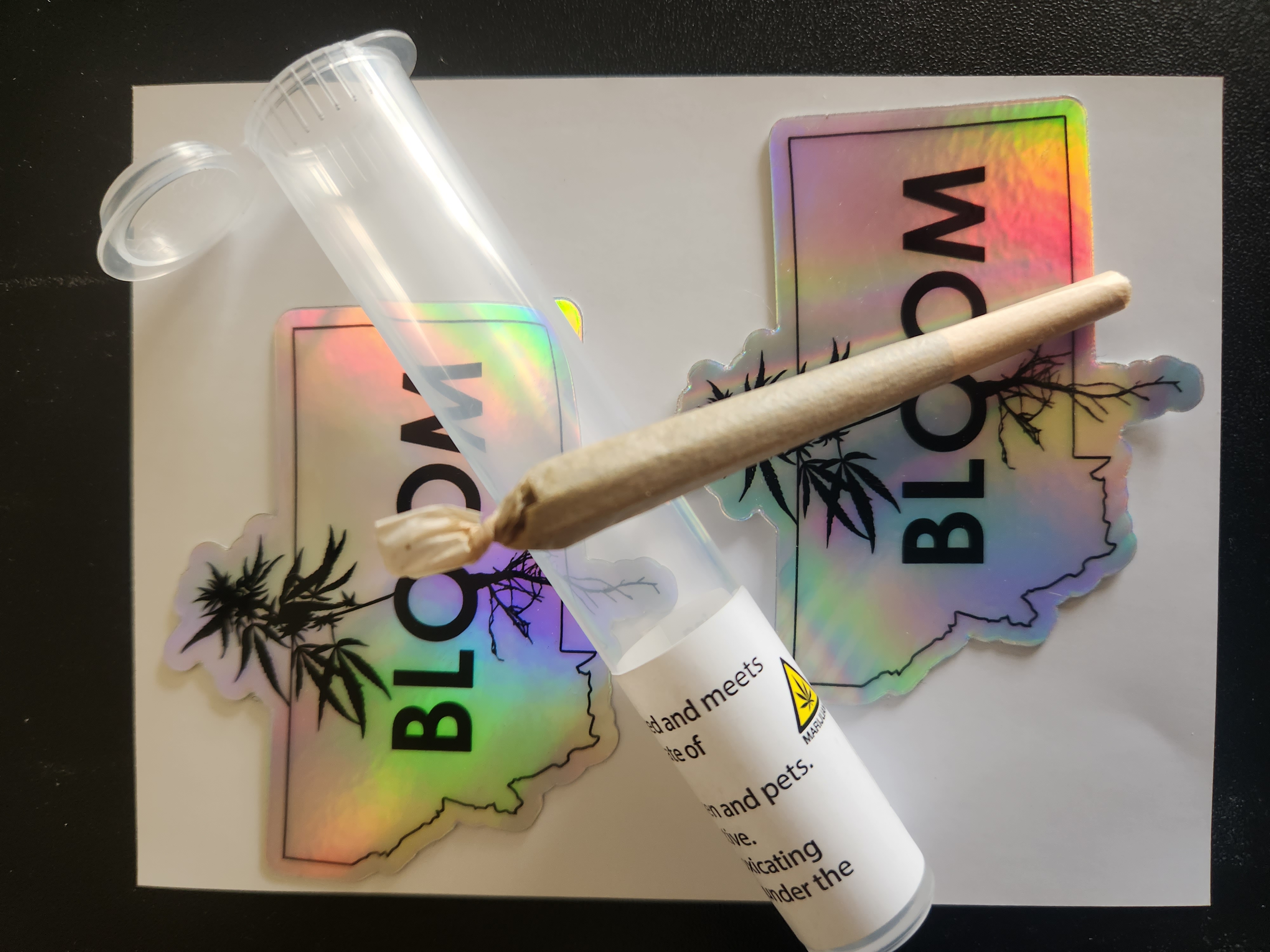 Bloom Montana (.5g Pre-Packed Cone-White Runtz)