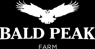 1:1 MAYRA'S MEDICINE