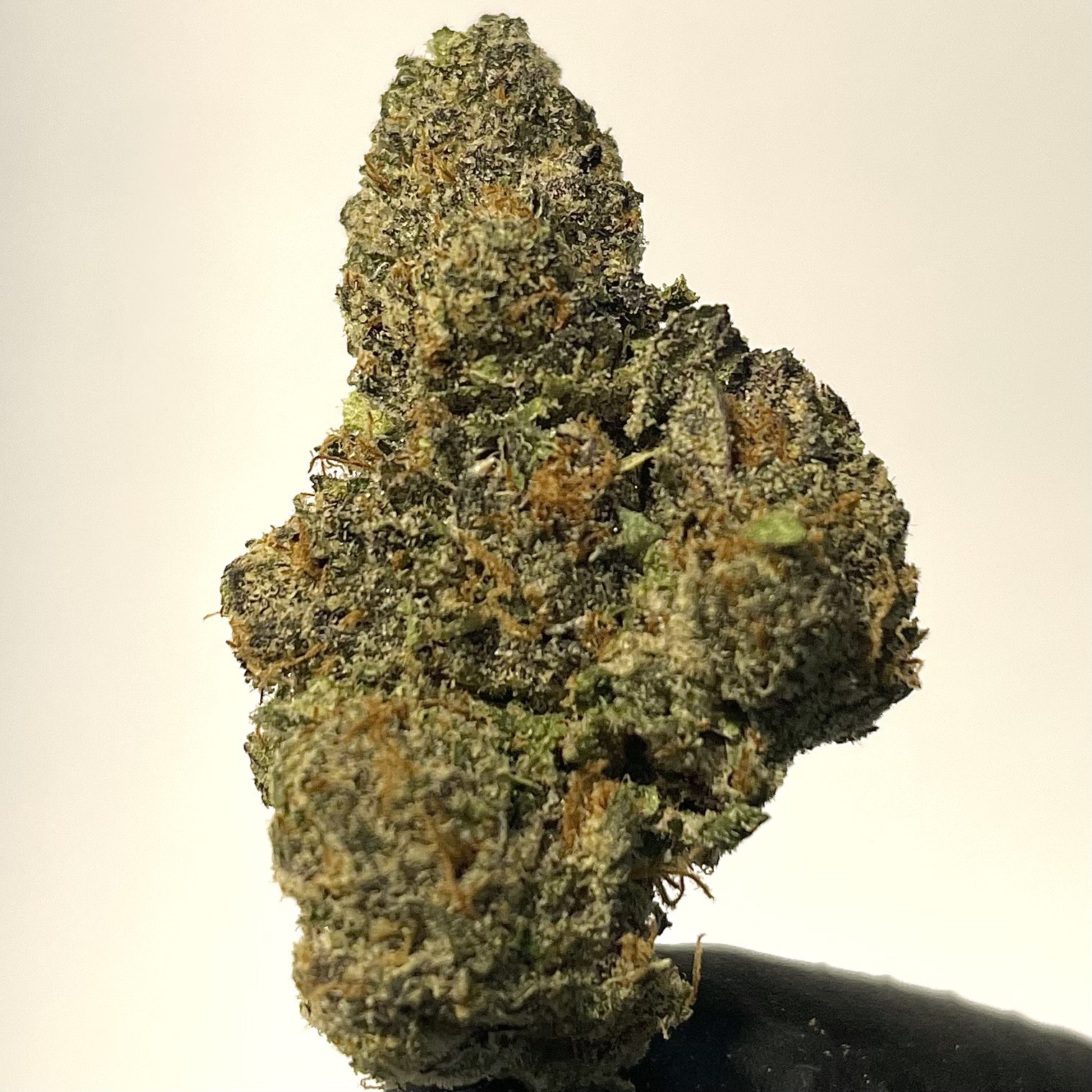 RedFox Cannabis | Blue Gelato 41 | Bulk Flower
