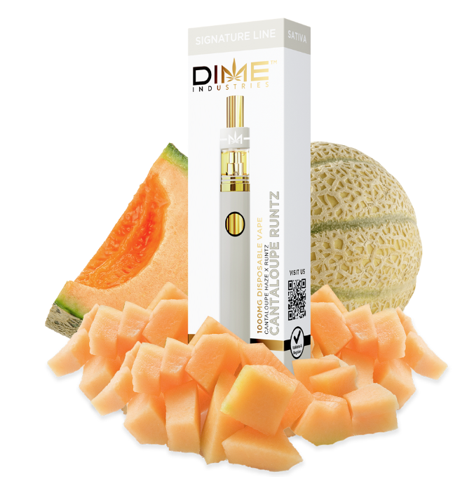 Dime Cantaloupe Dream .9g Disposable Vape