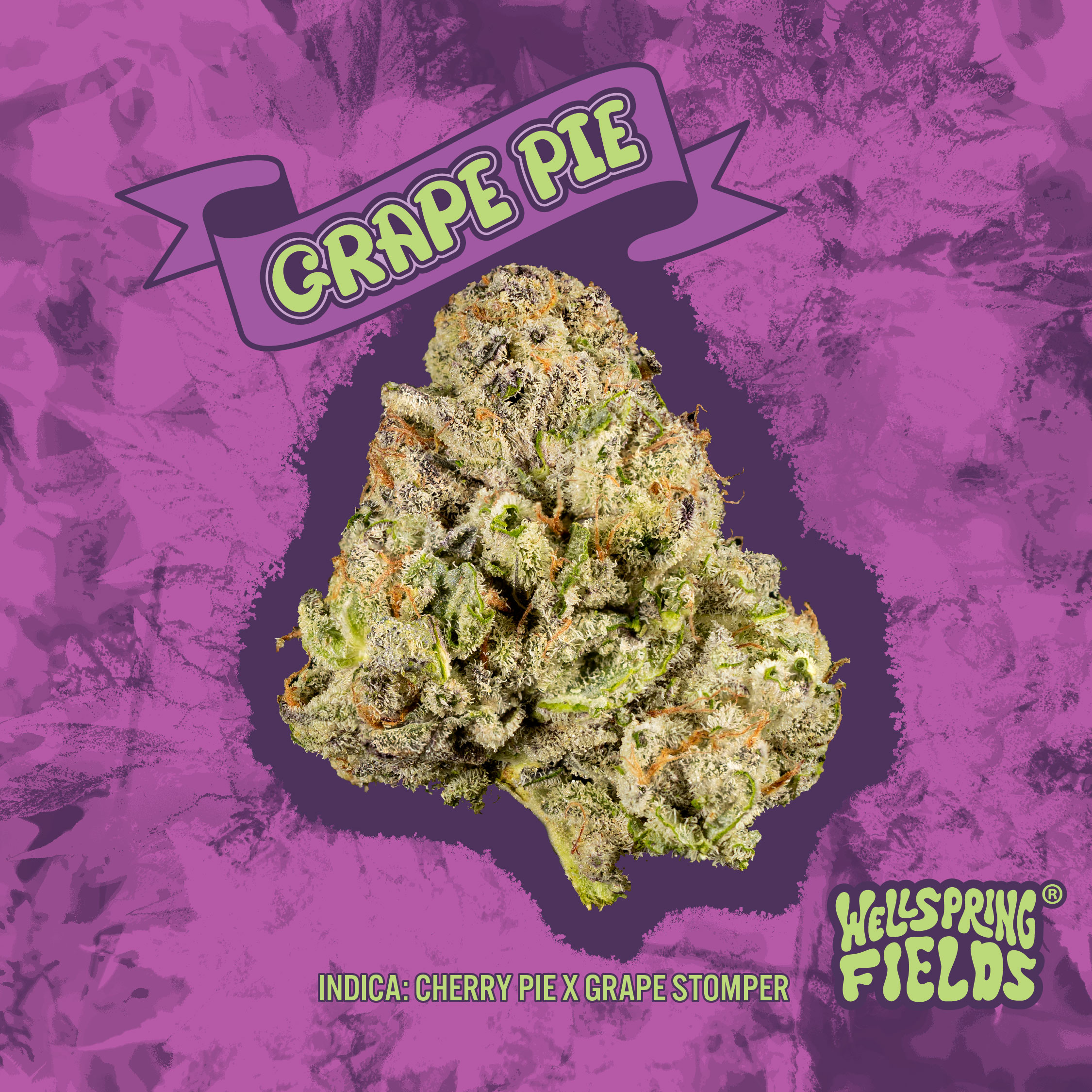 Grape Pie 2.83g