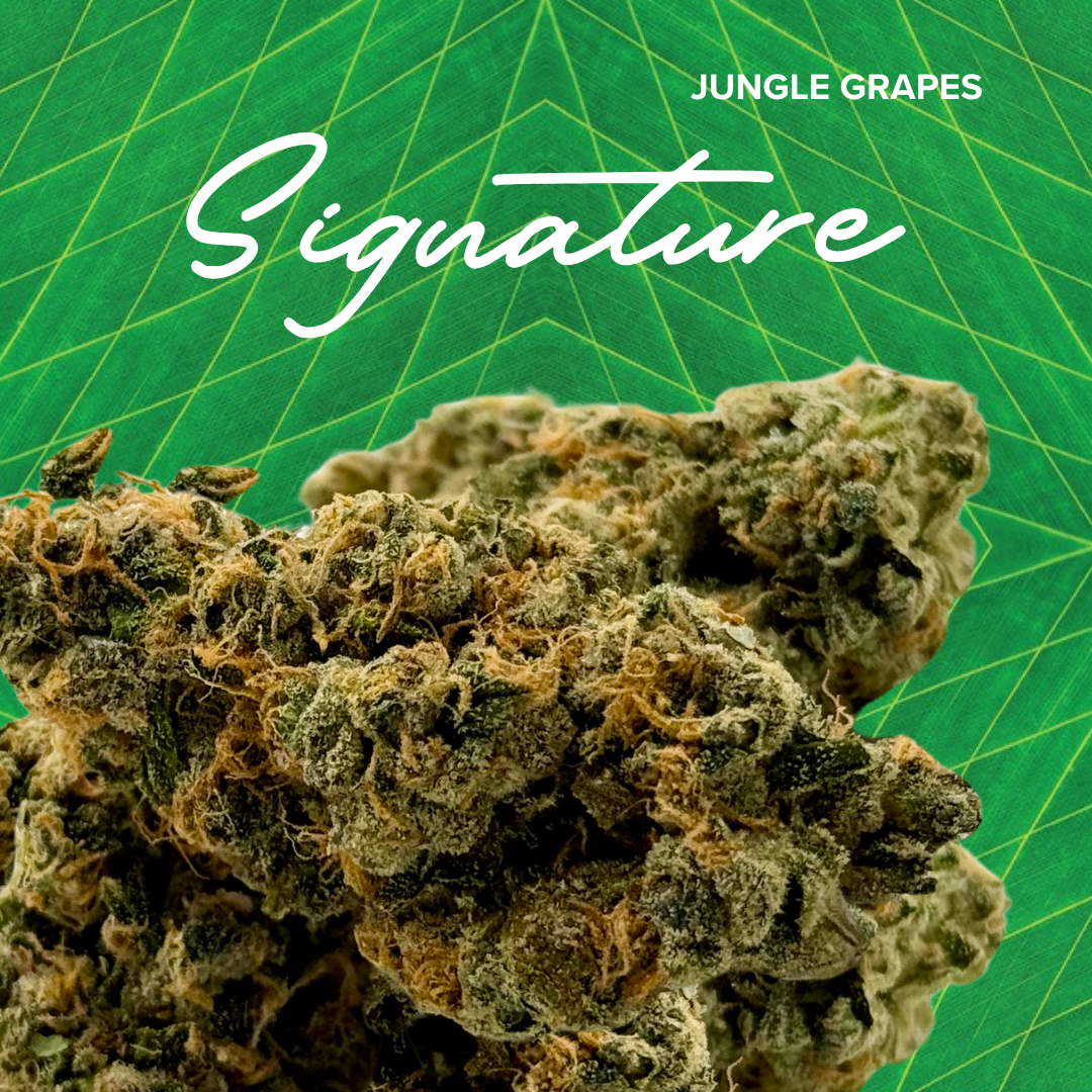 Signature | Jungle Grapes | 3.5g