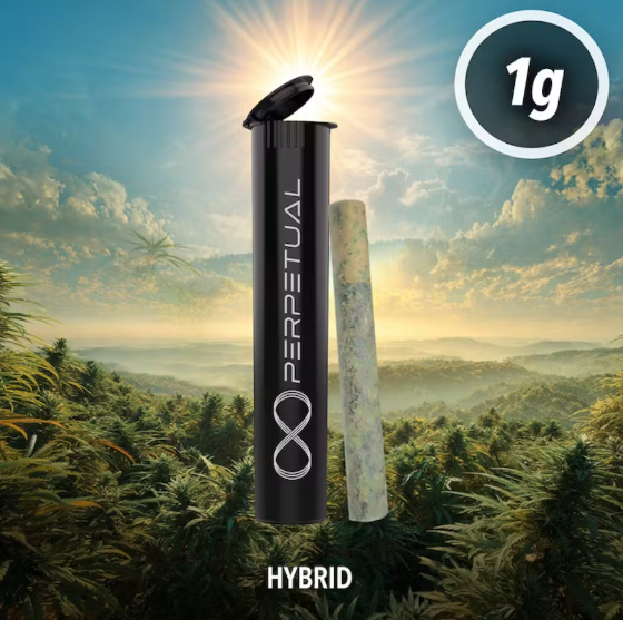 Perpetual - Vanarchy - Pre-Roll - 1g