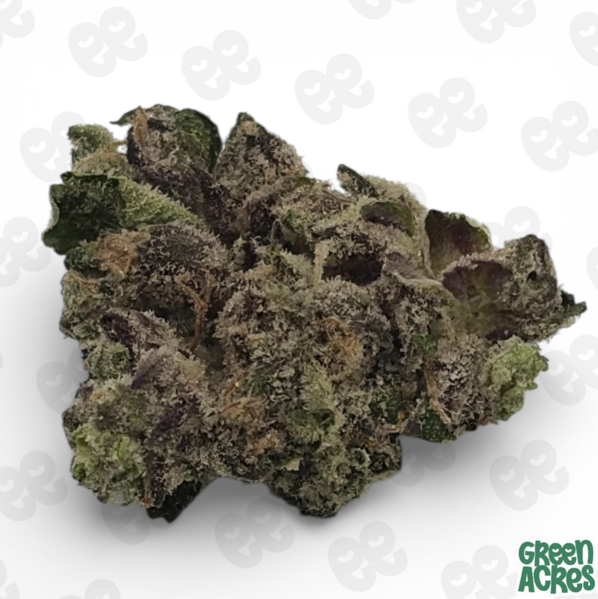 (H) Grown Rogue: Category 5 B's (I)
