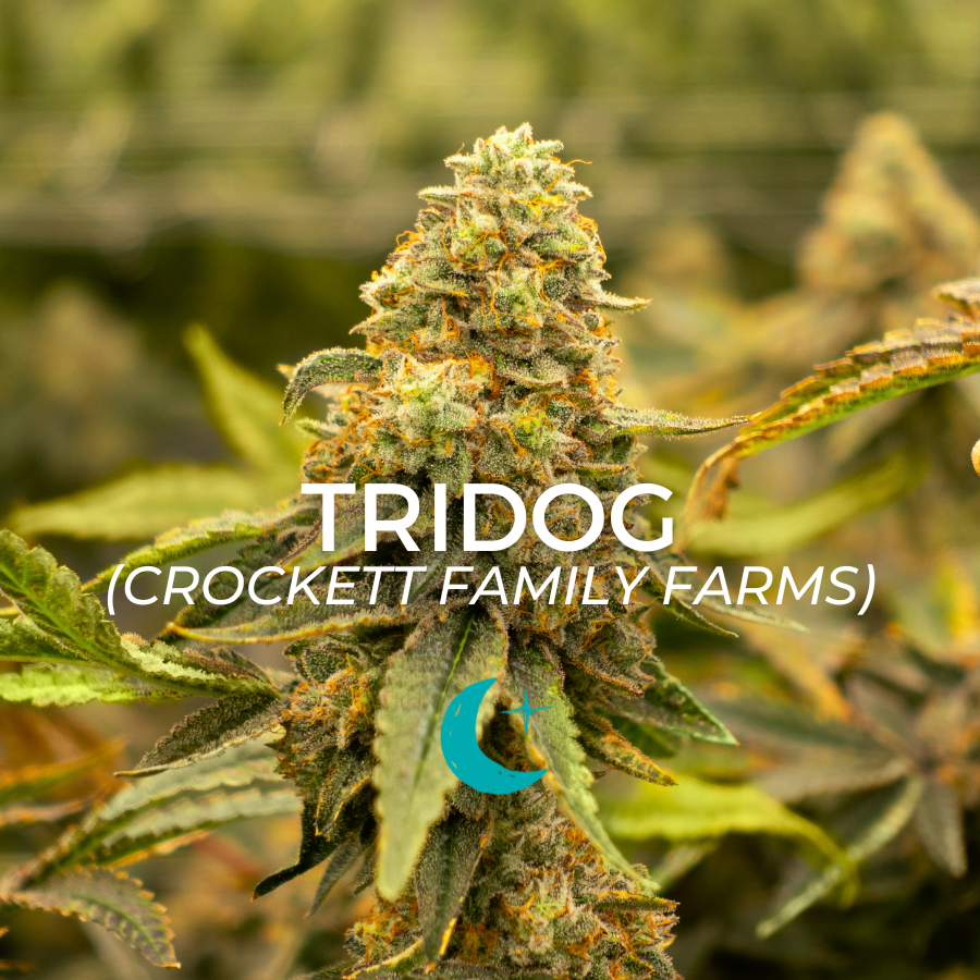 Verdes — Tridog