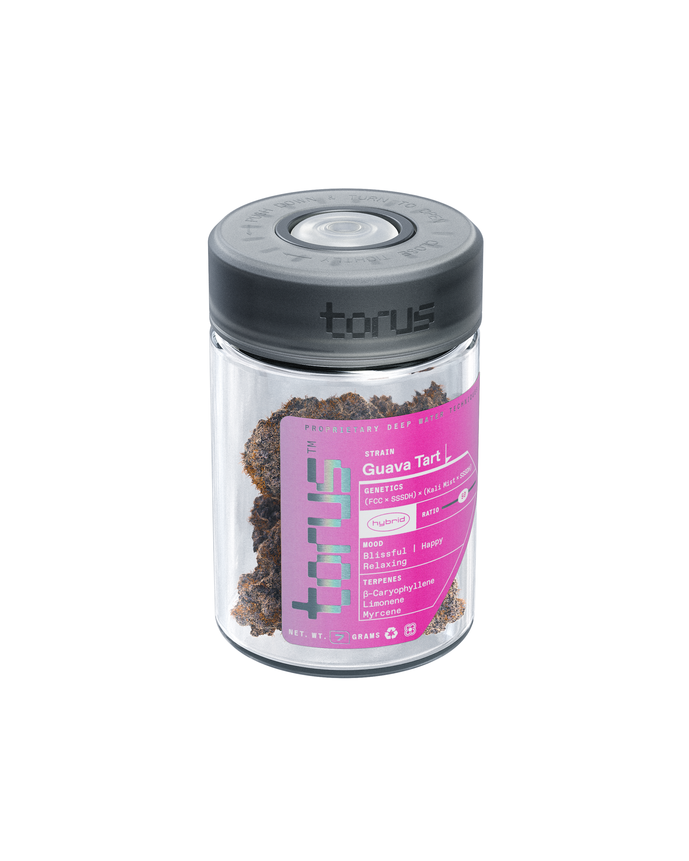 Guava Tart - Torus Flower - 7g (DOH)