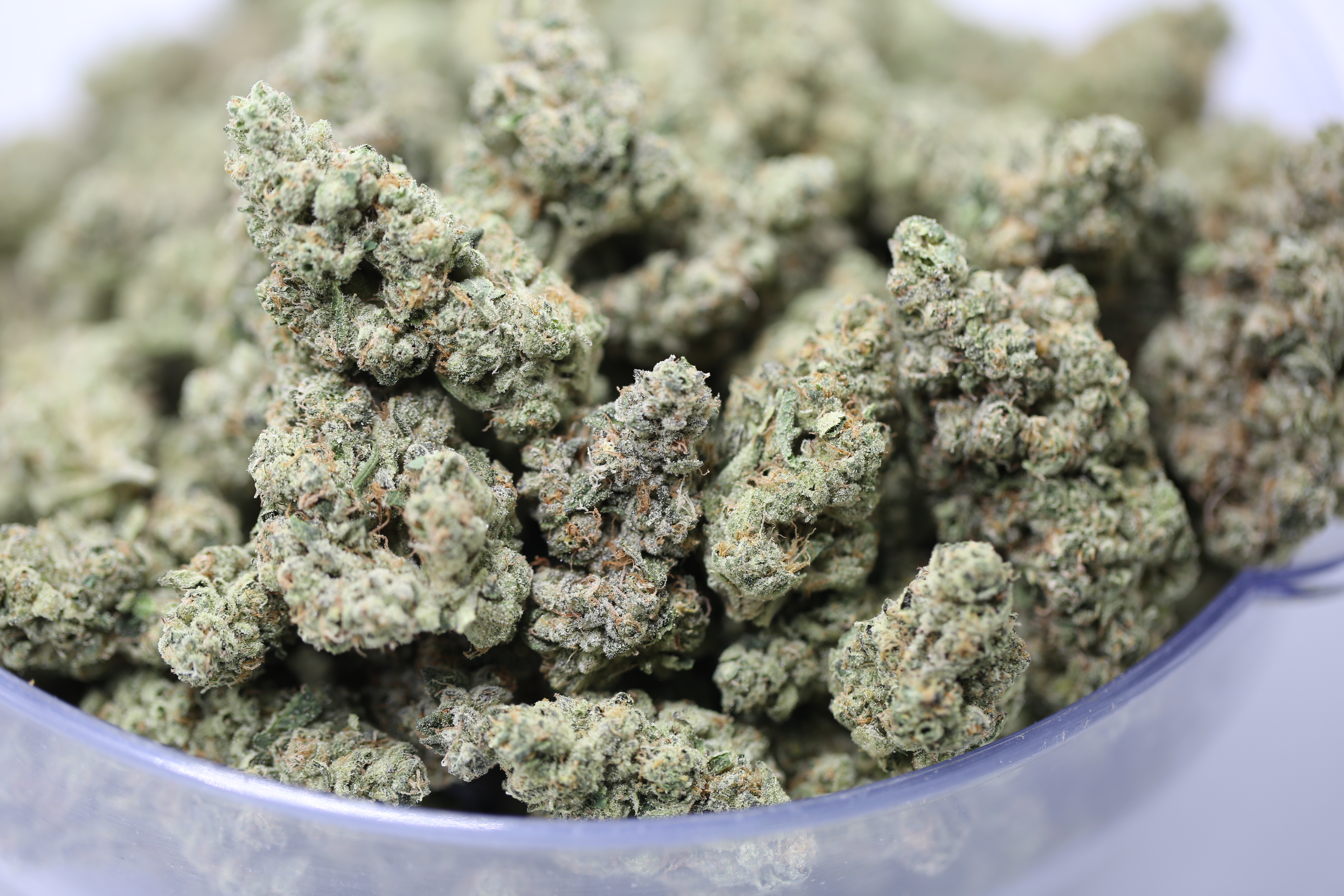 Garlic Diesel  - Bulk Flower
