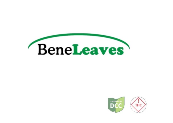Beneleaves | Lavender Lotion | 295mg