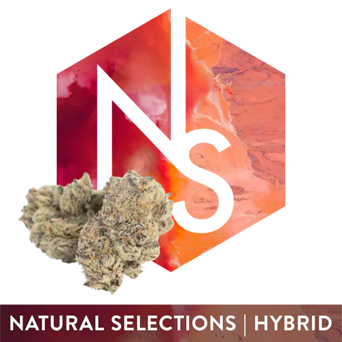 Superboof | Flower (H)