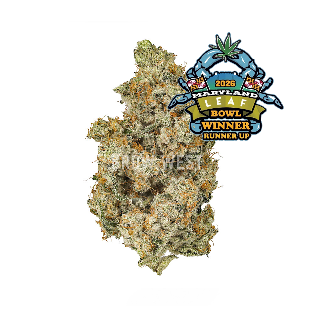 Strawguava Wildflower
