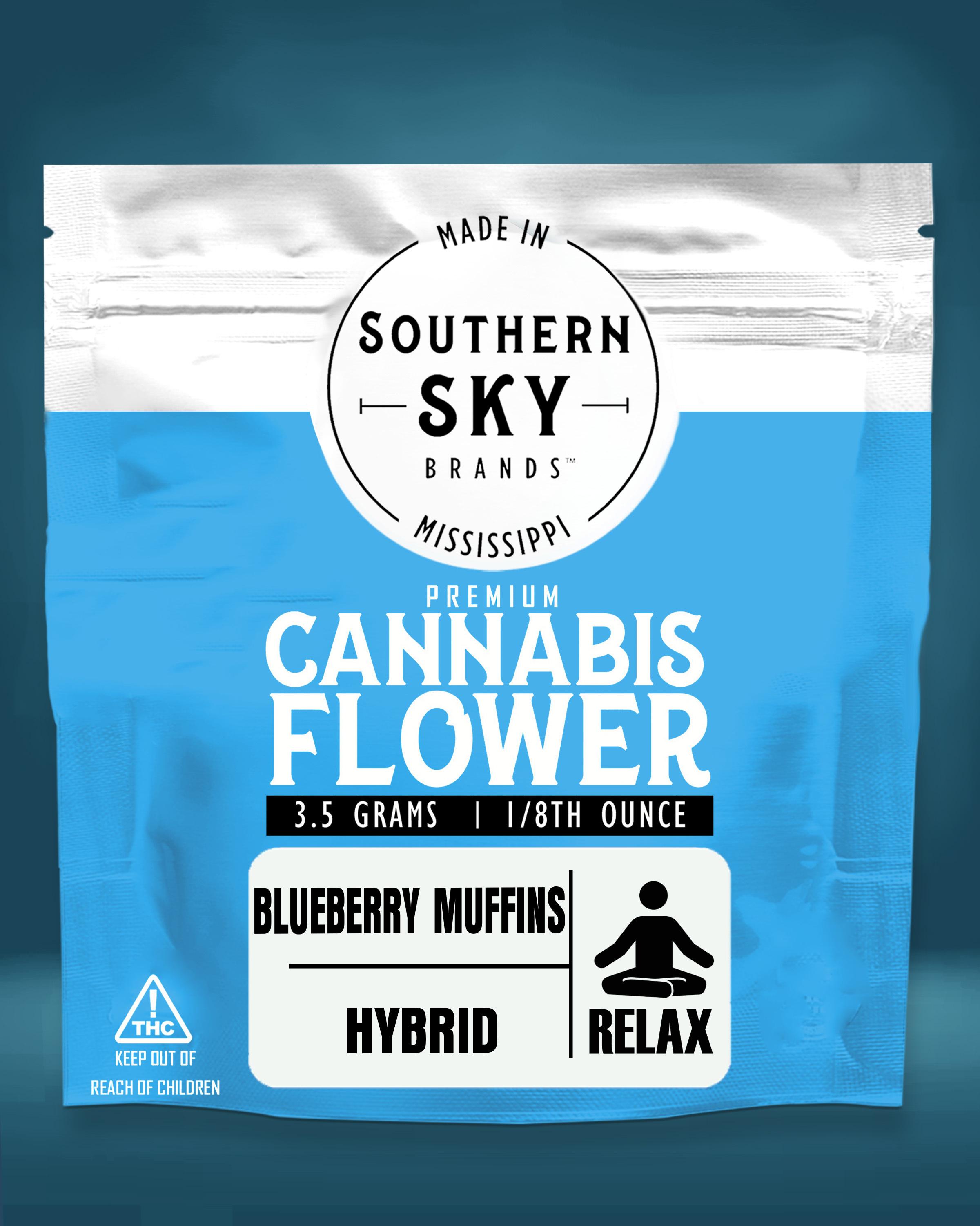 Blueberry Muffins