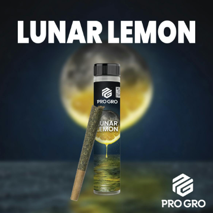 Pro Gro - Lunar Lemon - 1g Preroll