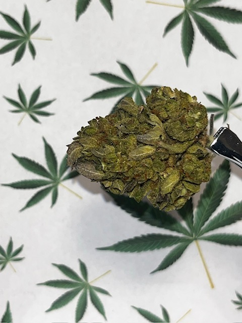 GG4 X Zkittles - (I)