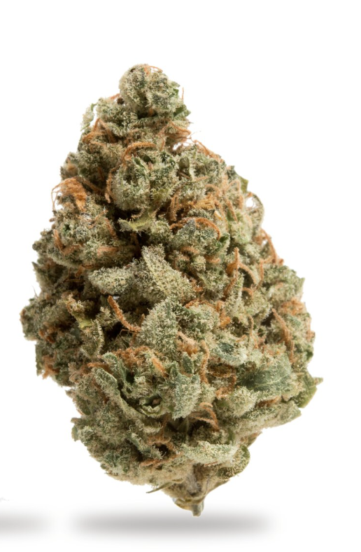 Blueberry Cookie | 28g - 1oz in Elizabeth