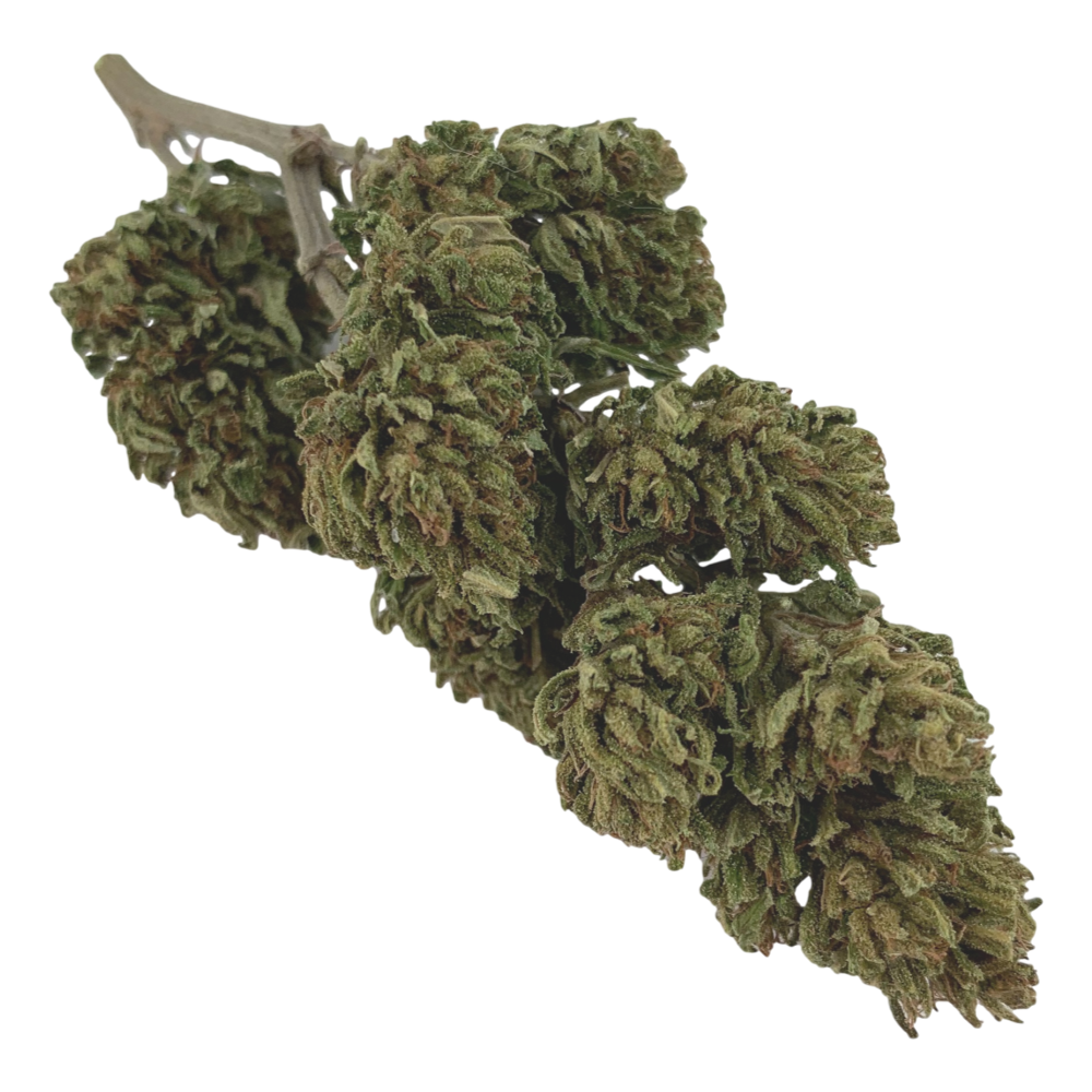 Hemp Flower | Oregon Sweetgum