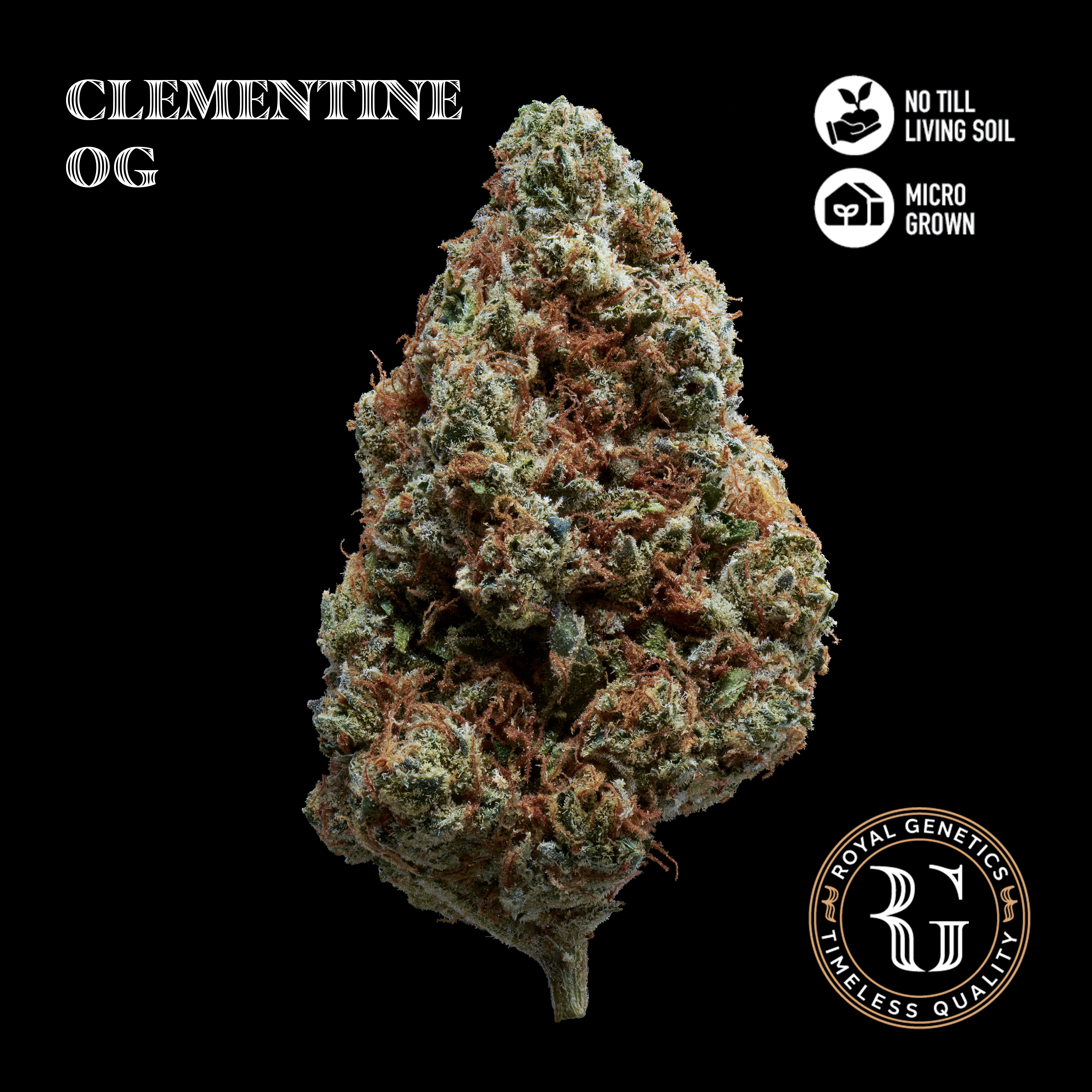 Clementine Og