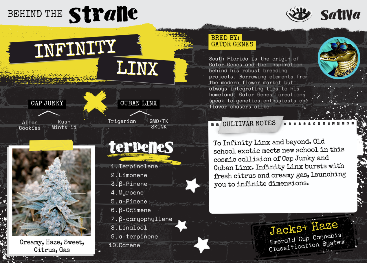 Infinity Linx