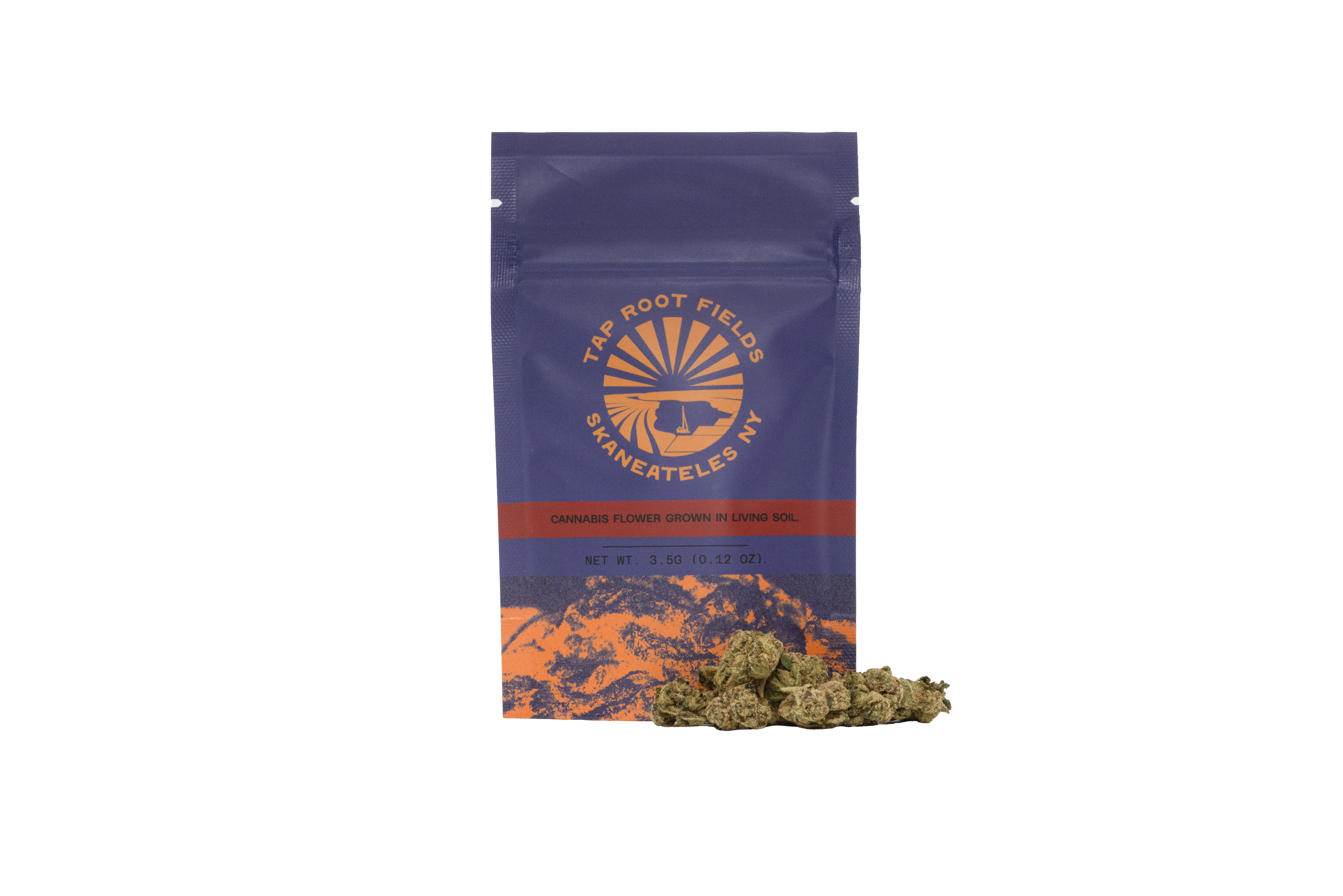 3.5G SACH- JOKERS 31