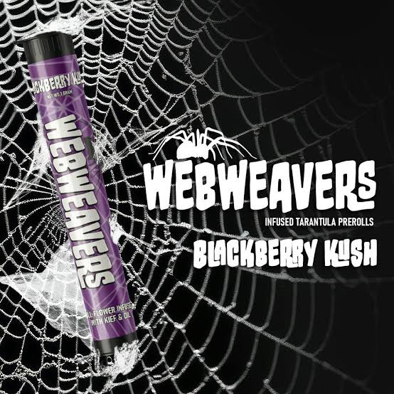 WebWeavers | ICC Preroll Blackberry Kush