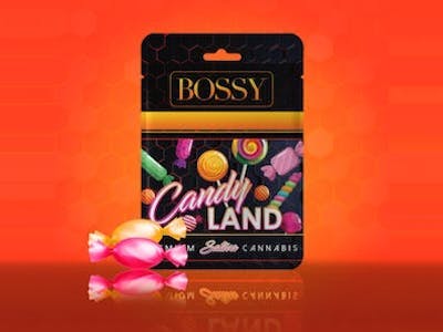 CANDYLAND | CARTRIDGE