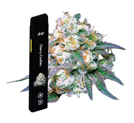 Drip AIO - Cherry Cookies