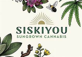 Pr Pineapple Sour Diesel